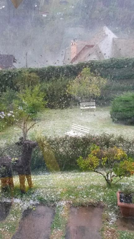 Pousada Toca Dos Tucanos Campos do Jordão Exterior foto